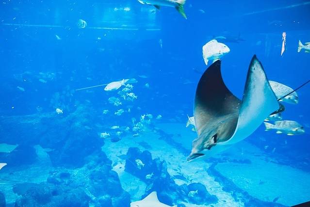 海之味水族餐厅