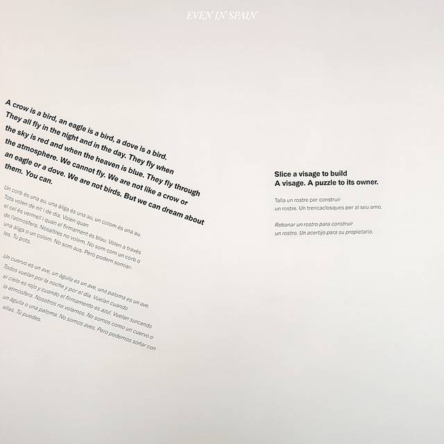 巴塞罗那现代艺术博物馆