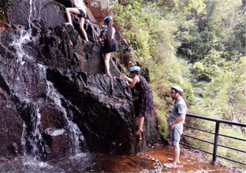 呀诺达雨林文化旅游区旅游景点攻略图