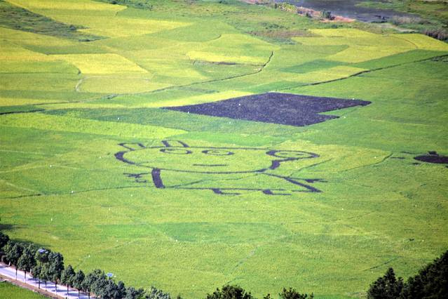 辣椒峰景区-骆驼峰景点