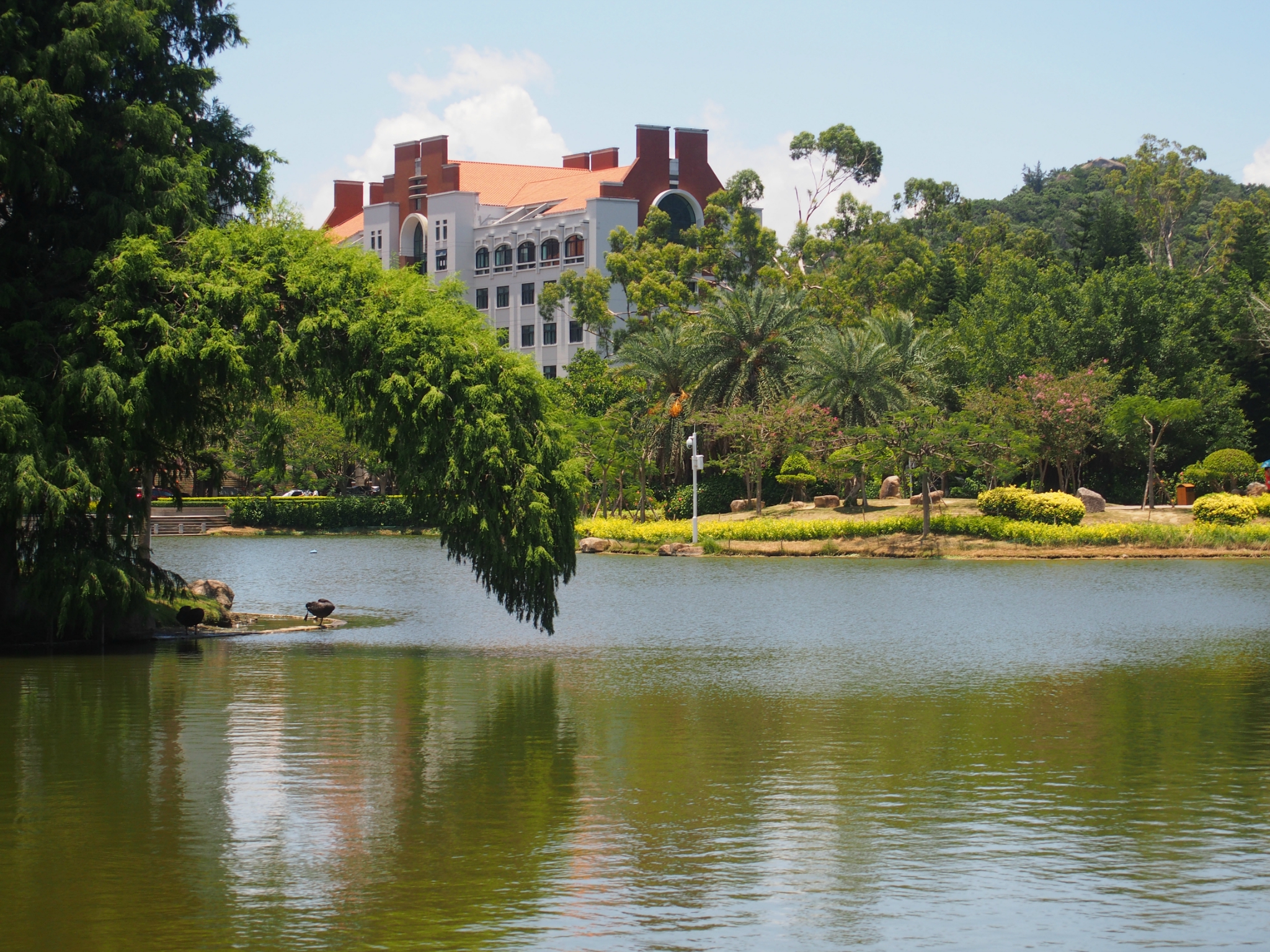 2023厦门大学芙蓉湖游玩攻略,必去的地方有芙蓉湖(南门进.