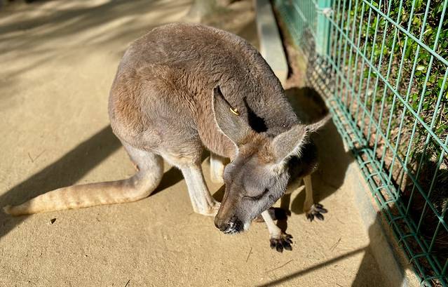 海之中道海滨公园