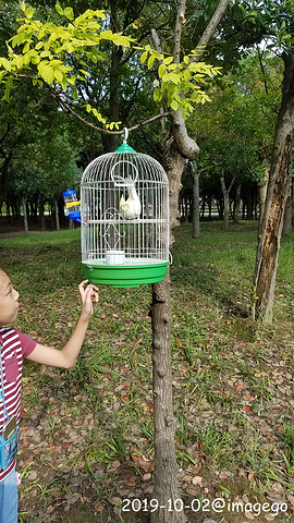 "石湖地方大体力不支只能呼叫本部的师傅估计一大串拖回去是没押金还了哈哈。人群稀释到可以放飞_石湖景区"的评论图片