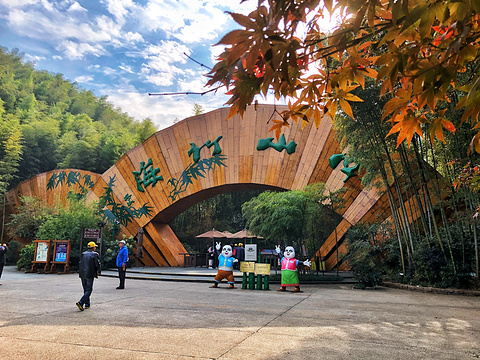 南山竹海旅遊景點攻略圖