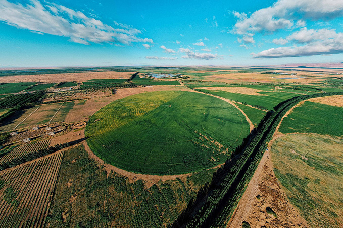 自驾内蒙古乌兰布和沙漠,邂逅特仑苏沙漠绿洲牧场-乌拉特中旗旅游攻略