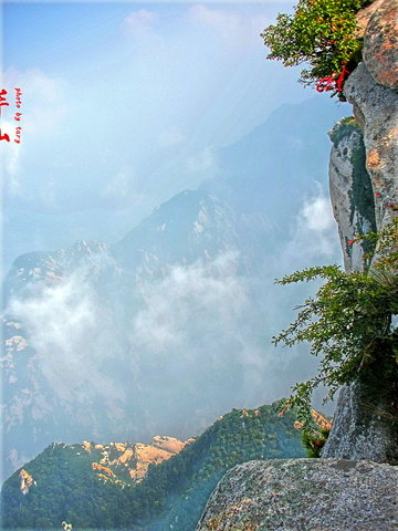"华山东峰-可参观青龙潭、甘露池、三茅洞、清虚洞、八景宫_东峰(朝阳峰)"的评论图片