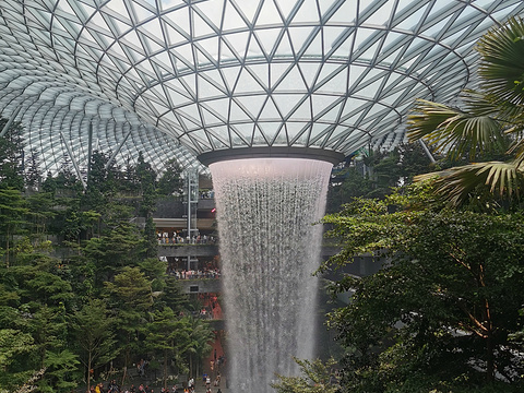 新加坡樟宜机场新罗免税店（1号航站楼离境大厅D登机店）旅游景点图片