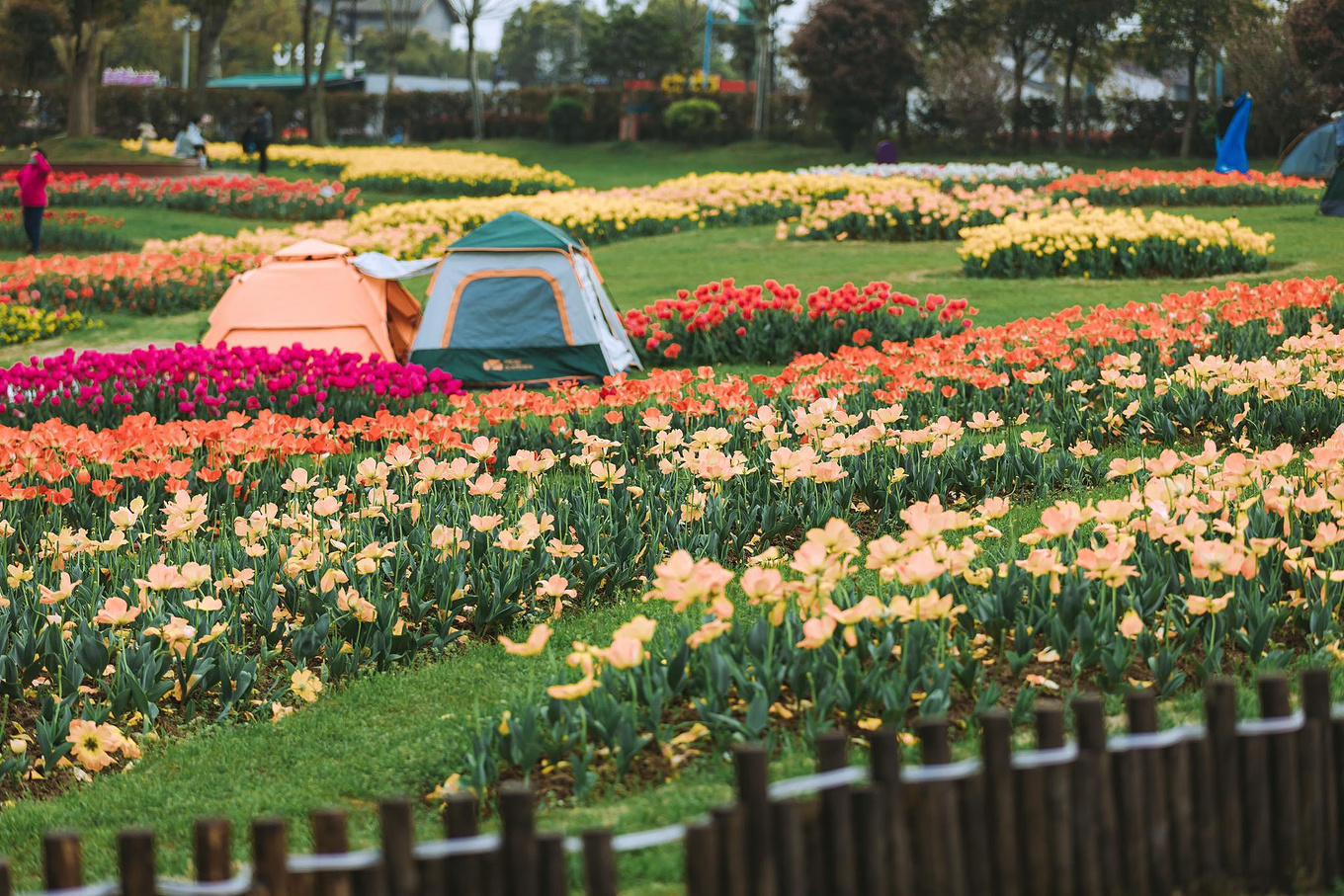 武汉花博汇除了26万平的四季花海和浪漫的樱花村供赏花拍照外