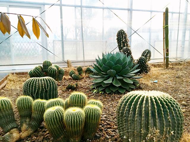 金土地生态农业园