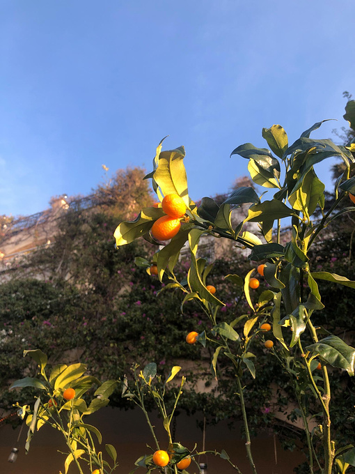波西塔诺图片