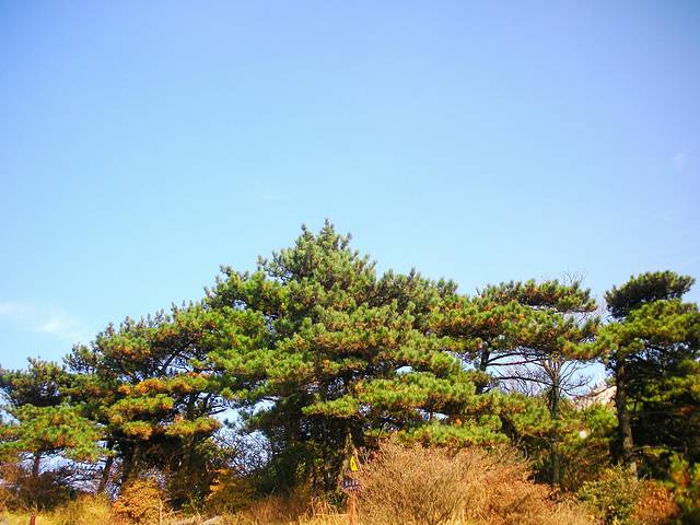 庐山国家重点风景名胜区-乌龙潭