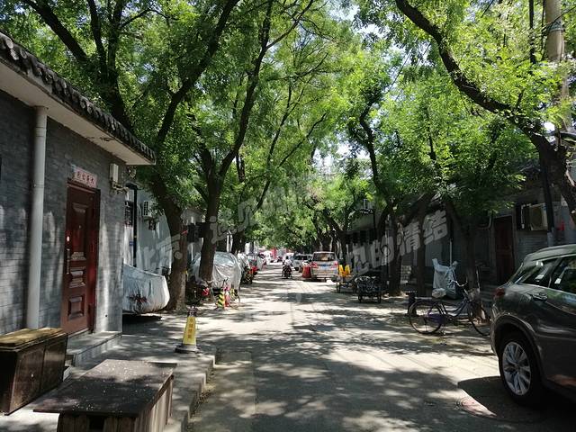 七寻八找·胡同菜