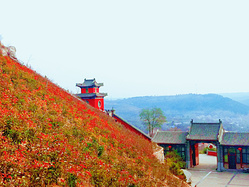 春日桃花冬日雪 四季之景皆不同 长春观美了一整年