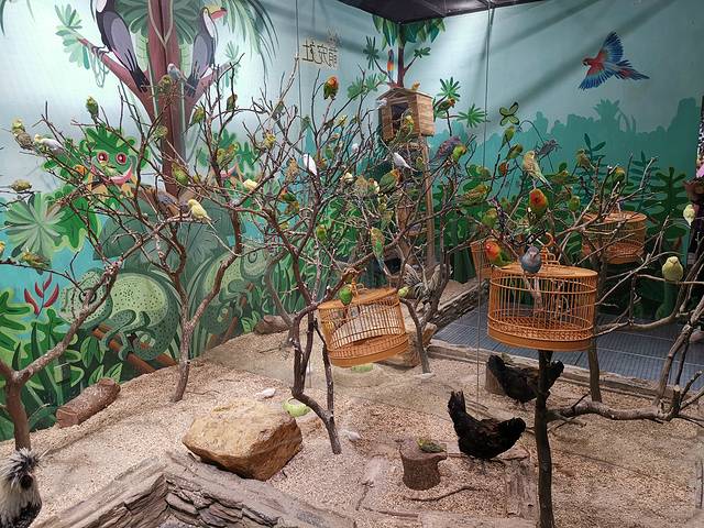 MrZoo-小小动物元室内动物园(上海嘉定万达中心)