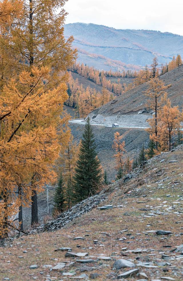 贾登峪国家森林公园