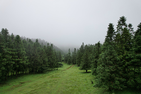 仙女山国家森林公园旅游景点攻略图