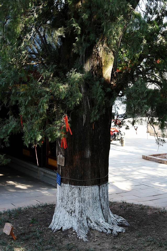 西昌地震碑林博物馆