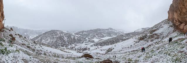 康家石门子岩画