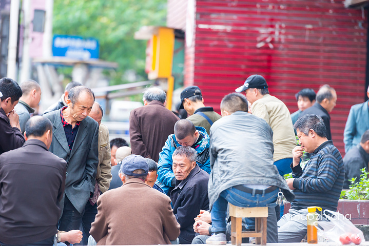 "...庆”，一定交通茶馆，来上一碗重庆人最爱喝沱茶，听听重庆人是如何“吹牛”的，你会更加喜爱这种城市_黄桷坪"的评论图片