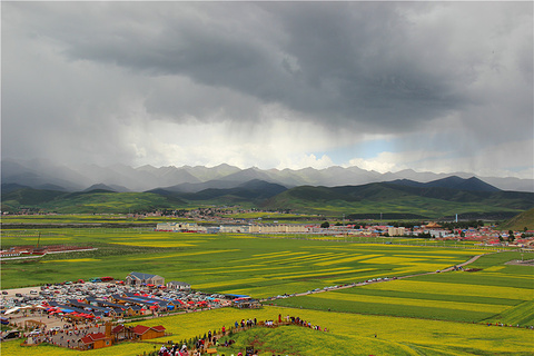 门源百里油菜花海旅游景点攻略图