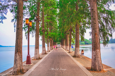 东湖听涛景区