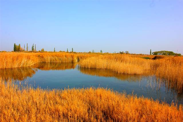 新城草湖国家湿地公园