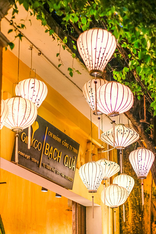 "如果问越南之行哪个景点最喜欢，那真的非会安古镇莫属！最爱会安的小巷子，安静有悠长～_会安古城"的评论图片