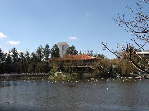 翠湖公园旅游景点攻略图