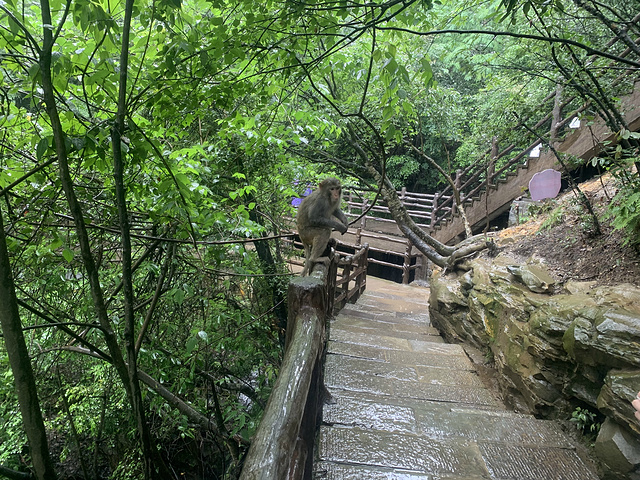 "景色在雨停的那几分钟还是非常美的。这里是张家界风景一绝，是大自然的一个奇迹。四周悬崖绝壁，水滴飞溅_袁家界景区"的评论图片