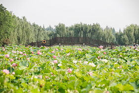 莫负夏日好时光，带你领略南京高淳慢生活