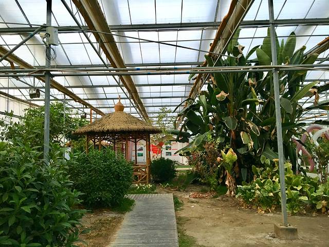 金土地生态农业园