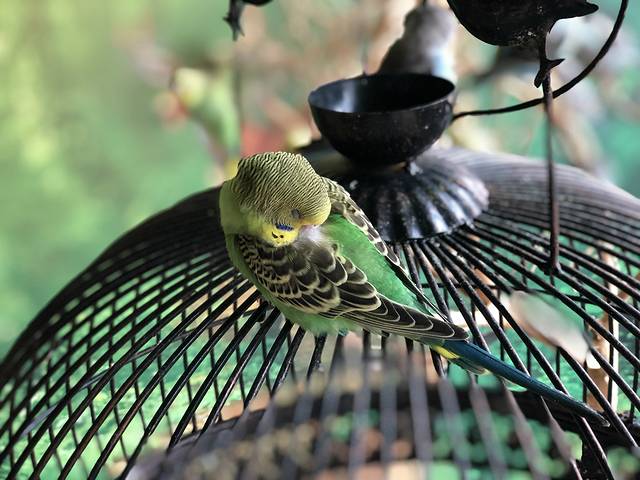 萌乐游亲子互动馆