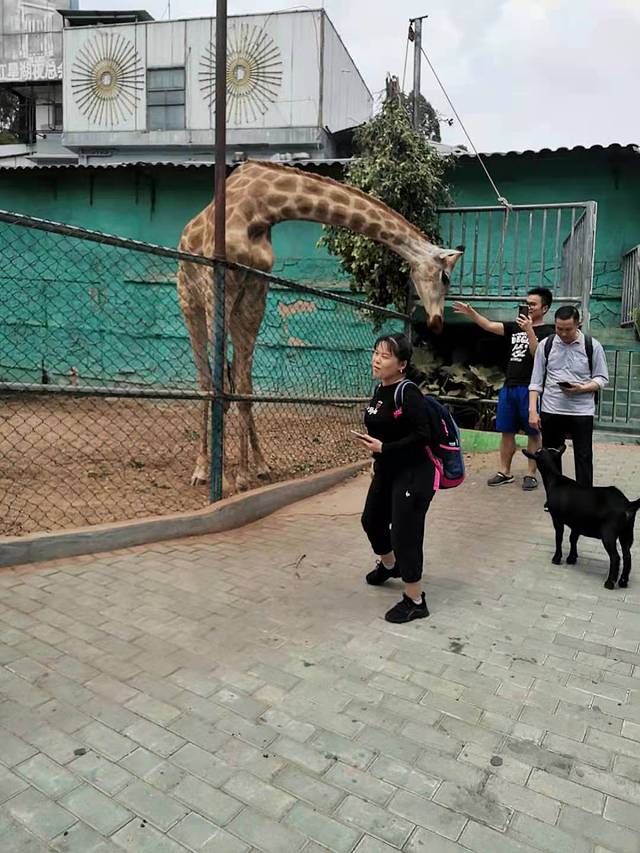 观澜山水田园文化园