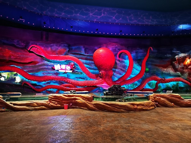 "超级大的大鱼缸，神秘隧道台阶，让我们仿佛真的来到水底龙宫推荐理由：对于游乐场，孩子是没有抵抗力的_青岛海上嘉年华主题乐园"的评论图片