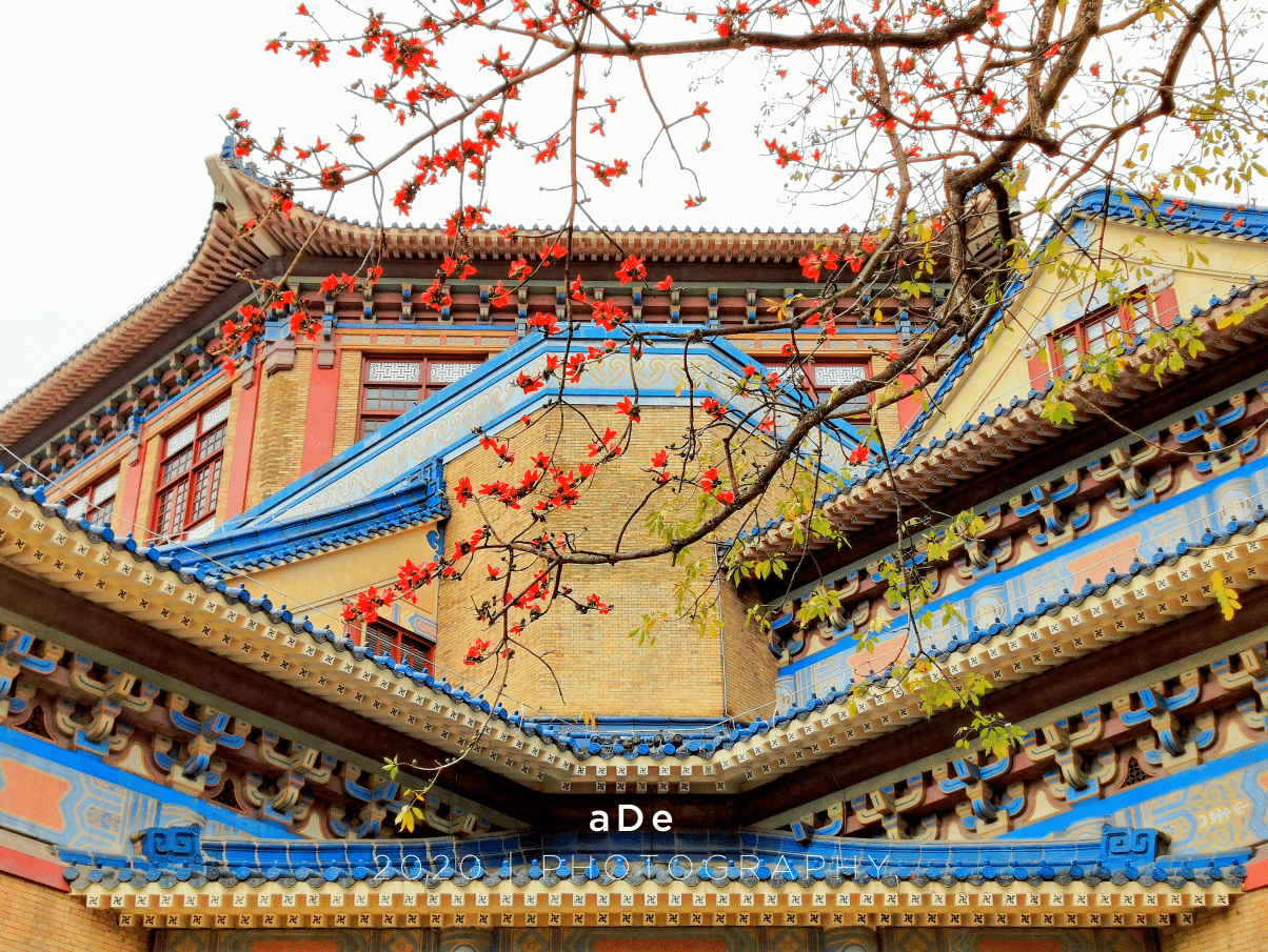 漫天红花满,中山纪念堂-珲春旅游攻略-游记-去哪儿攻略