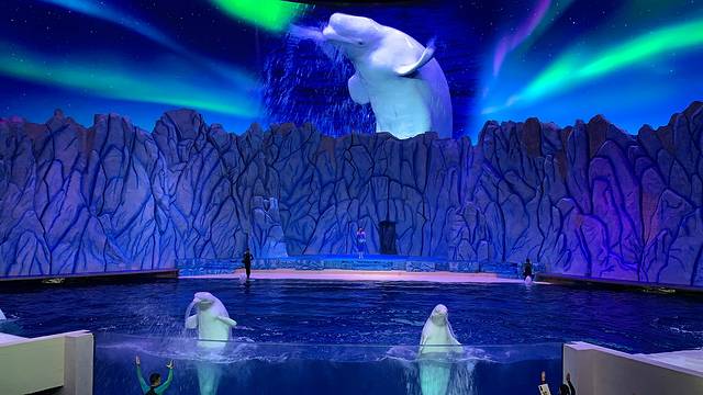 极地探险-白鲸剧场