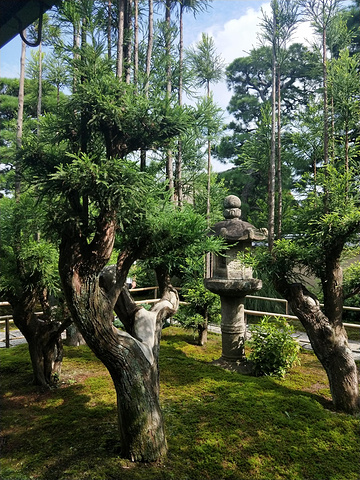 "瑞峰院路标，这里所有寺院都是分开自家僧侣运营养护的。止步石，在汀步的尽头处，这种表达是真的含蓄_瑞峰院"的评论图片