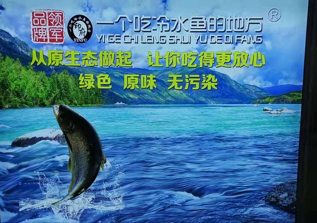 一个吃冷水鱼的地方
