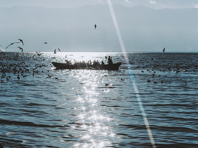 "🔥 「景点特色」：洱海是白族人民的“母亲湖”，白族先民称之为“金月亮”，是一个风光秀媚的高原..._洱海"的评论图片