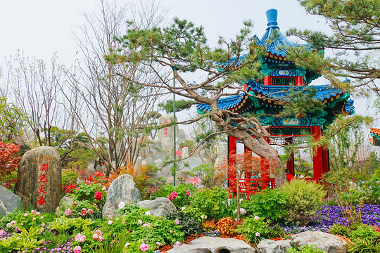 山东园（北京世界园艺博览会）旅游景点图片