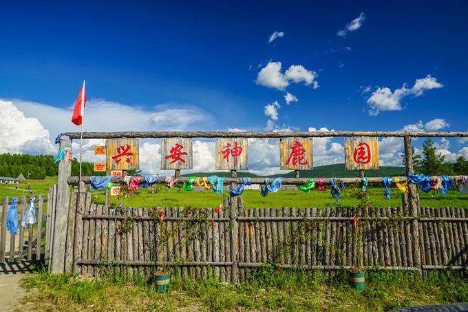 呼伦贝尔圆梦之旅,大草原、风车群、麋鹿森林、童话世界里的城堡,全安排!-呼伦贝尔旅游攻略-游记-去哪儿攻略