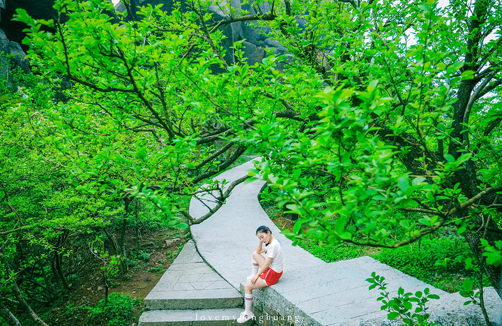 "...，这些远看似古堡魏立的天柱山岩石，在西关群峰垂直节理中非常发育，形成了横看成岭侧成峰的美丽景致_天柱山"的评论图片