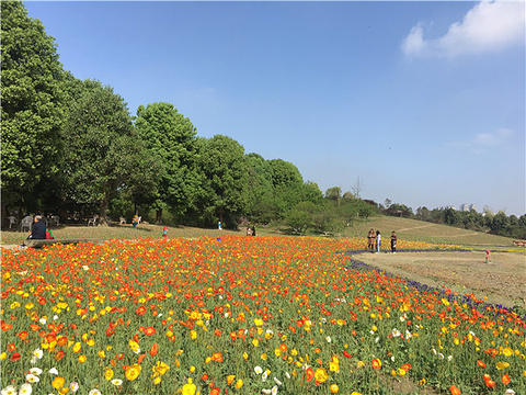 印象花园·白鹭湾农家乐(三圣乡总店)