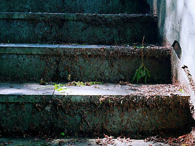 伊春兴安国家森林公园