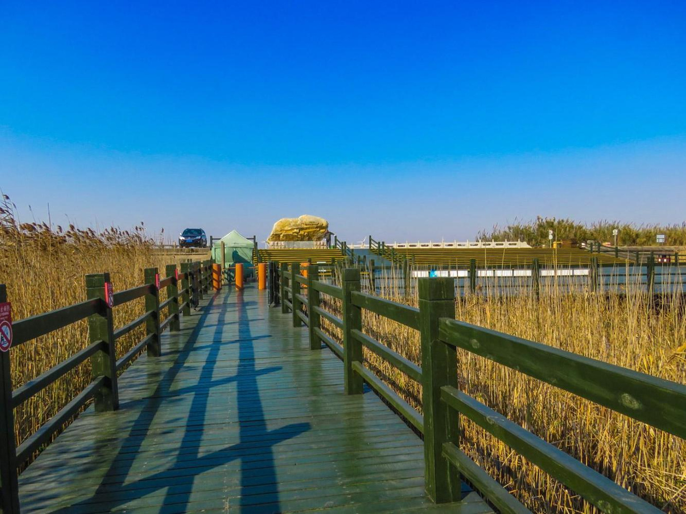 2021东滩湿地公园-旅游攻略-门票-地址-问答-游记点评，崇明旅游旅游景点推荐-去哪儿攻略