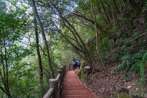 铜铃山森林公园旅游景点攻略图