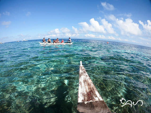 "薄荷岛的跳岛一日游一般包括追海豚、巴里卡萨岛浮潜看海龟、热带鱼和真假处女岛_巴里卡萨岛"的评论图片