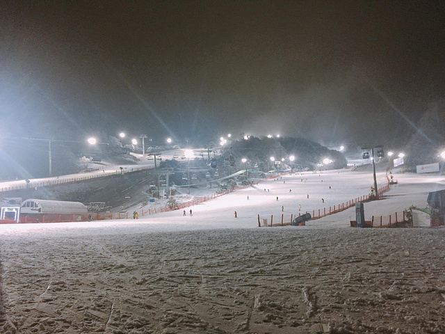 "特别是深夜11点以后，雪道上人很少了，虽然可能夜晚视野不是很好，但是雪道上光照还算比较清楚，对..._大明维瓦尔第SONO滑雪场"的评论图片