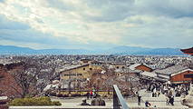 奈良旅游景點攻略圖片