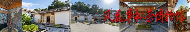 潮州凤凰单丛茶博物馆